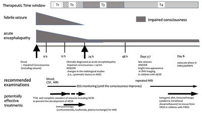 Timing of therapeutic interventions against infection-triggered encephalopathy syndrome: a scoping review of the pediatric literature